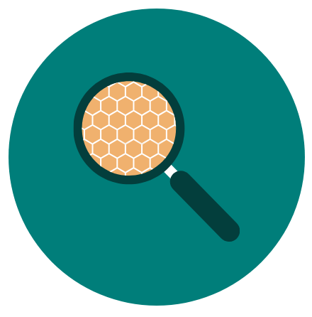 Skin Analysis icon